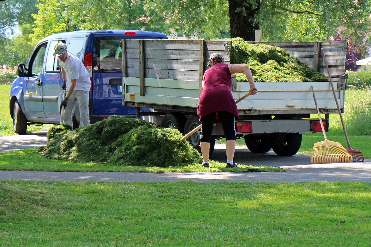 Tree and shrub care